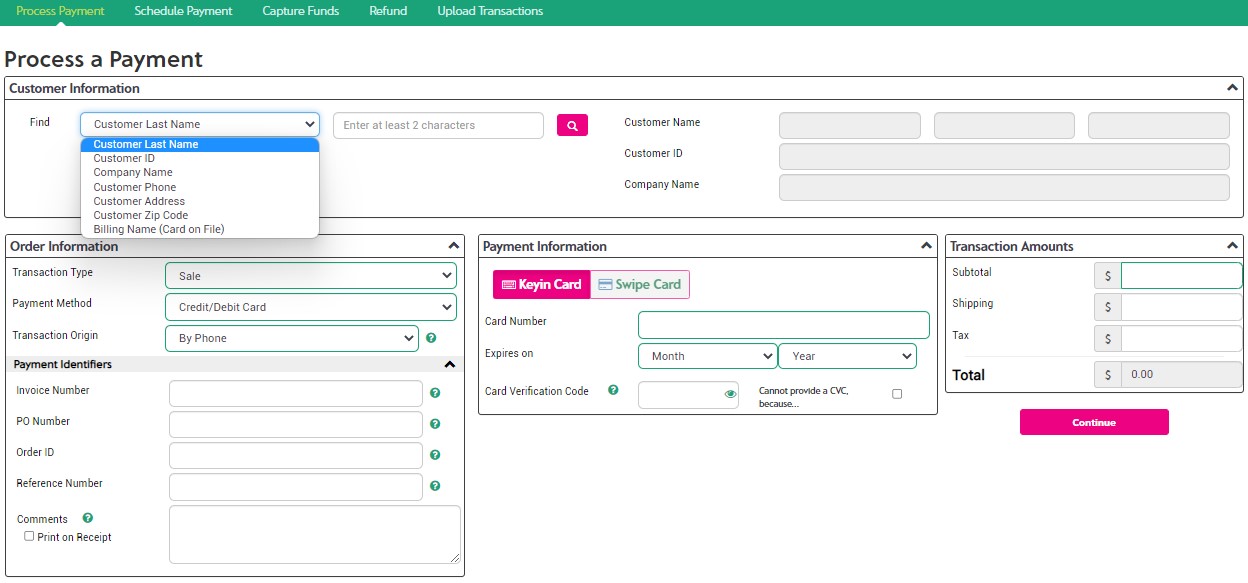 Process a Payment Search Options